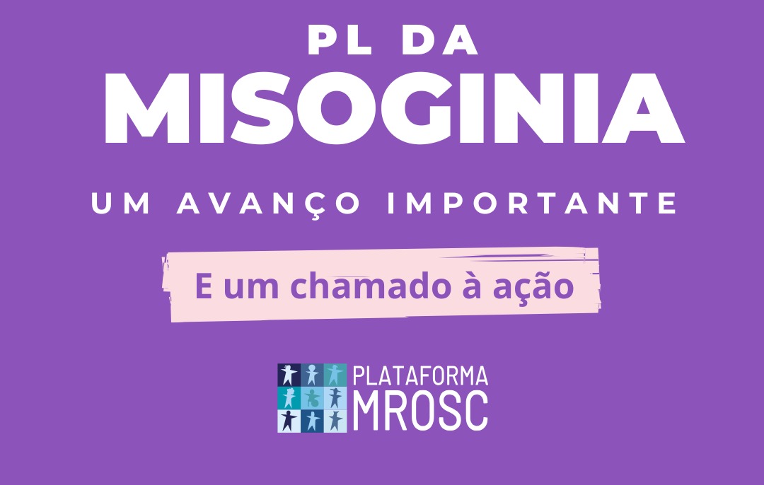 PL nº 370/2024 aprovado: e agora?
